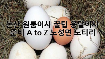 논산 원룸이사 꿀팁🍯 용달이사 준비 A to Z (노성면 노티리)