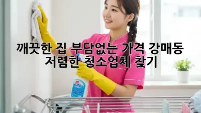 깨끗한 집, 부담없는 가격! 강매동 저렴한 청소업체 찾기