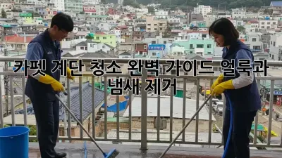 카펫 계단 청소 완벽 가이드: 얼룩과 냄새 제거!